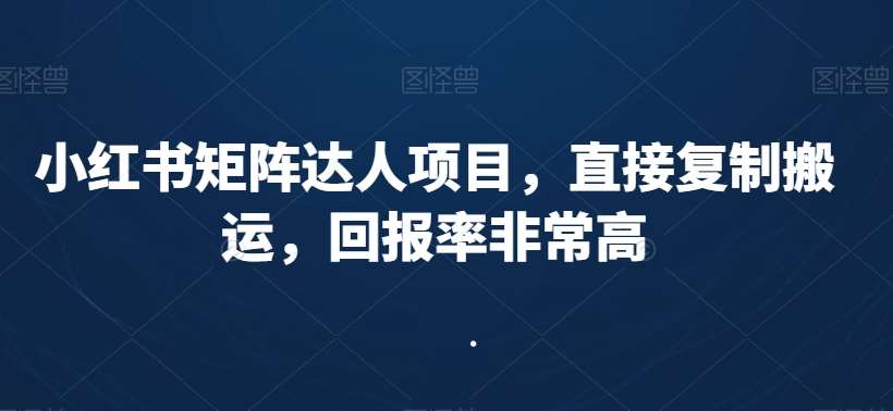 小红书矩阵达人项目，直接复制搬运，回报率非常高-云商网创