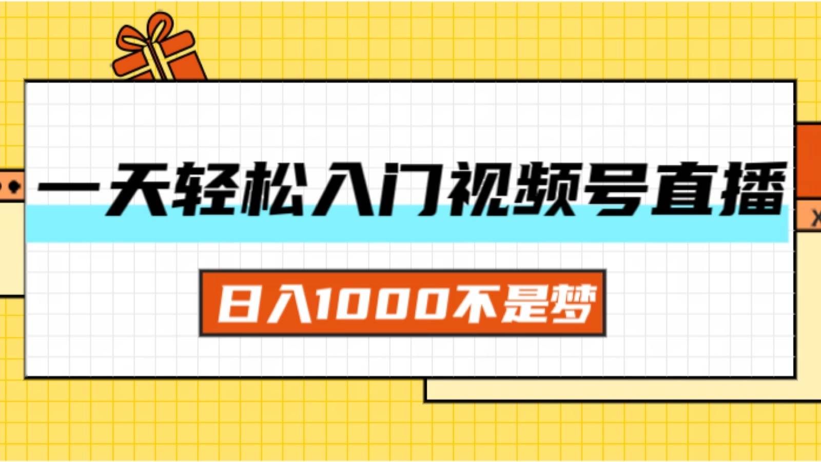 （11906期）一天入门视频号直播带货，日入1000不是梦-云商网创