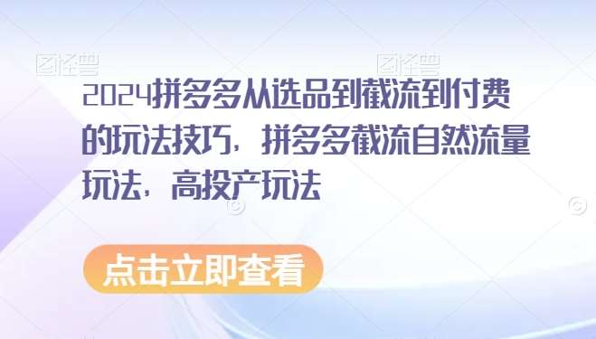2024拼多多从选品到截流到付费的玩法技巧，拼多多截流自然流量玩法，高投产玩法-云商网创