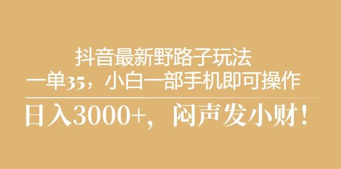 抖音最新野路子玩法，一单35，小白一部手机即可操作，，日入3000+，闷…-云商网创
