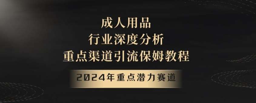 2024年重点潜力赛道，成人用品行业深度分析，重点渠道引流保姆教程【揭秘】-云商网创