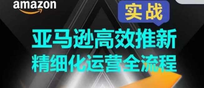 亚马逊高效推新精细化运营全流程，全方位、快速拉升产品排名和销量!-云商网创