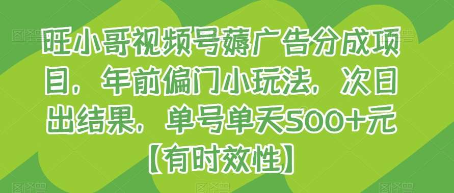 旺小哥视频号薅广告分成项目，年前偏门小玩法，次日出结果，单号单天500+元【有时效性】-云商网创