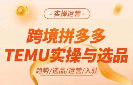 跨境拼多多TEMU实操与选品，多多temu跨境选品运营实操-云商网创