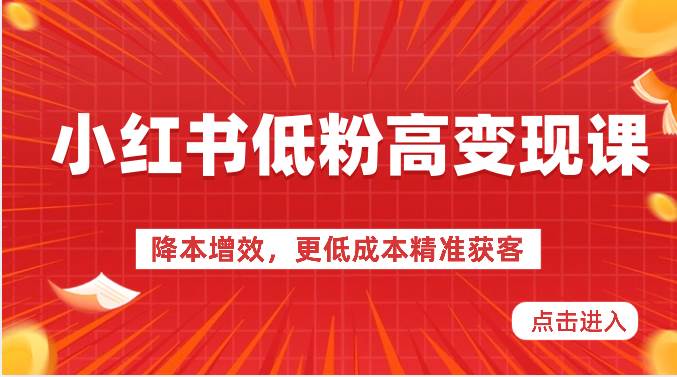 小红书低粉高变现课-降本增效，更低成本精准获客，小红书必爆的流量密码-云商网创