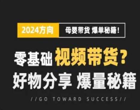 短视频母婴赛道实操流量训练营，零基础视频带货，好物分享，爆量秘籍-云商网创