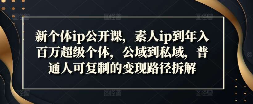 新个体ip公开课，素人ip到年入百万超级个体，公域到私域，普通人可复制的变现路径拆解-云商网创