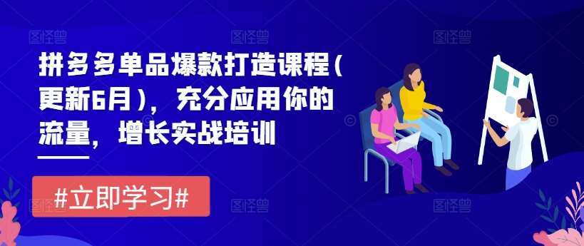 拼多多单品爆款打造课程(更新6月)，充分应用你的流量，增长实战培训-云商网创