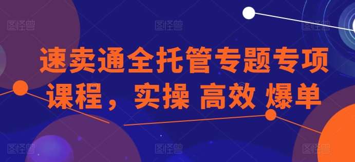 速卖通全托管专题专项课程，实操 高效 爆单-云商网创