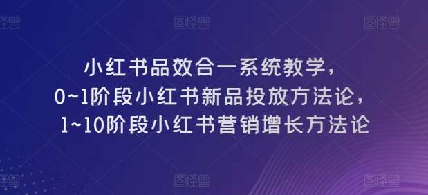 小红书品效合一系统教学，​0~1阶段小红书新品投放方法论，​1~10阶段小红书营销增长方法论-云商网创