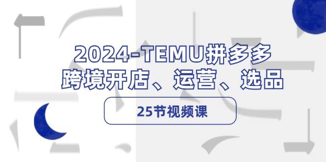 （12106期）2024-TEMU拼多多·跨境开店、运营、选品（25节视频课）-云商网创