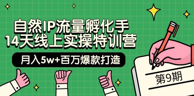 自然IP流量孵化手 14天线上实操特训营【第9期】月入5w+百万爆款打造 (74节)-云商网创