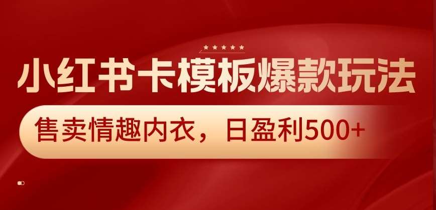 小红书卡模板爆款玩法，售卖情趣内衣，日盈利500+【揭秘】-云商网创