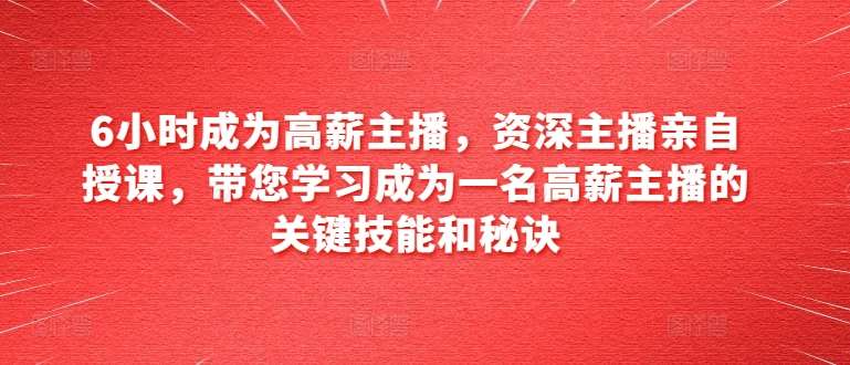 6小时成为高薪主播，资深主播亲自授课，带您学习成为一名高薪主播的关键技能和秘诀-云商网创