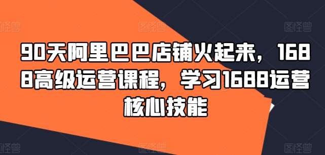 90天阿里巴巴店铺火起来，1688高级运营课程，学习1688运营核心技能-云商网创