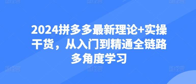 2024拼多多最新理论+实操干货，从入门到精通全链路多角度学习-云商网创