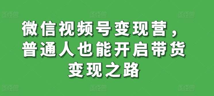 微信视频号变现营，普通人也能开启带货变现之路-云商网创