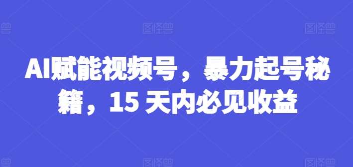 AI赋能视频号，暴力起号秘籍，15 天内必见收益【揭秘】-云商网创