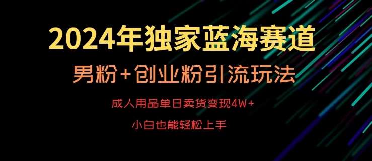 2024年独家蓝海赛道，成人用品单日卖货变现4W+，男粉+创业粉引流玩法，不愁搞不到流量【揭秘】-云商网创