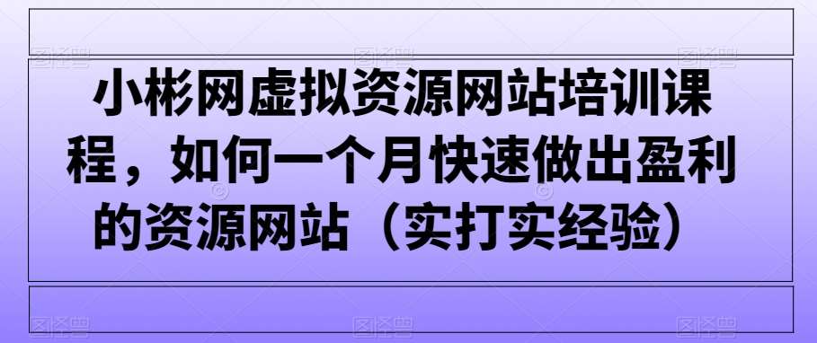 小彬网虚拟资源网站培训课程，如何一个月快速做出盈利的资源网站（实打实经验）-云商网创