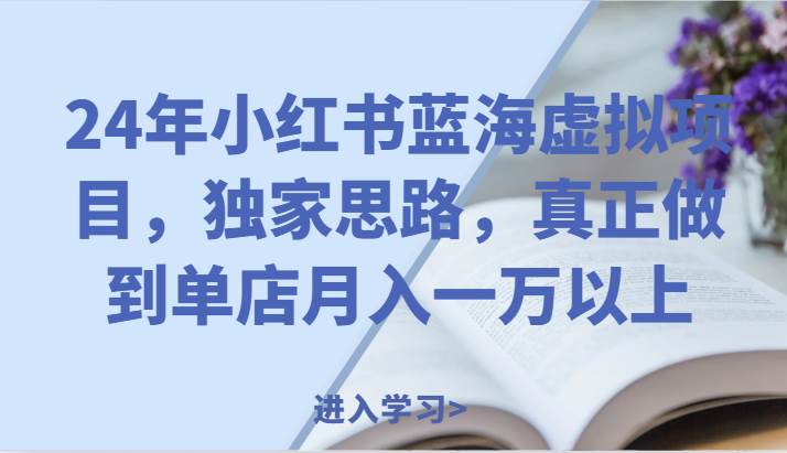 24年小红书蓝海虚拟项目，独家思路，真正做到单店月入一万以上。-云商网创