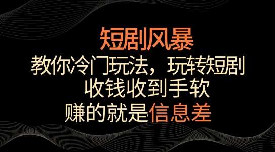 短剧风暴，教你冷门玩法，玩转短剧，收钱收到手软【揭秘】-云商网创