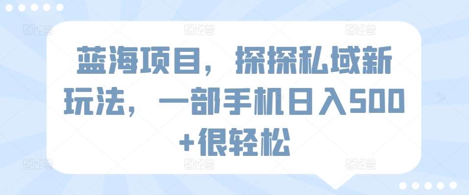 蓝海项目，探探私域新玩法，一部手机日入500+很轻松【揭秘】-云商网创