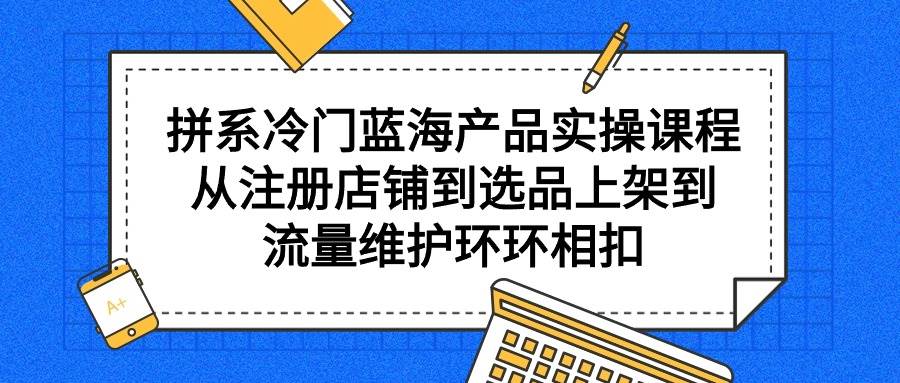 （9527期）拼系冷门蓝海产品实操课程，从注册店铺到选品上架到流量维护环环相扣-云商网创