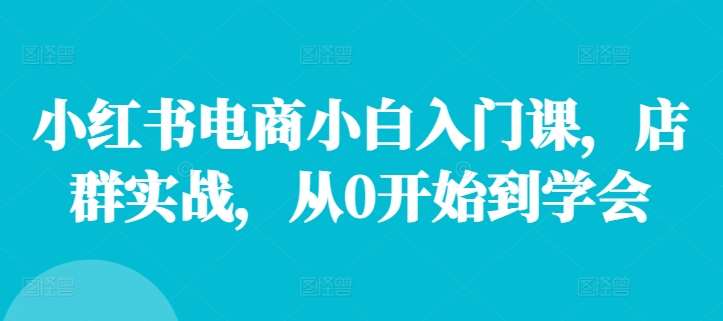 小红书电商小白入门课，店群实战，从0开始到学会-云商网创