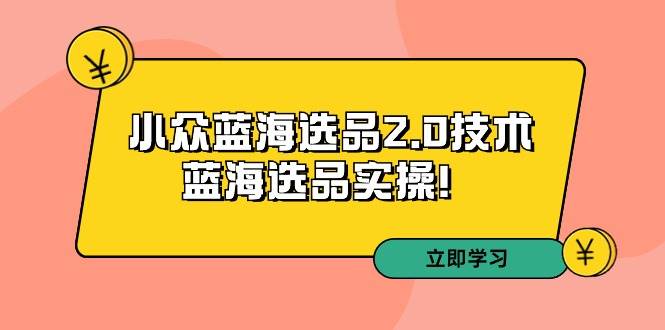 拼多多培训第33期：小众蓝海选品2.0技术-蓝海选品实操！-云商网创