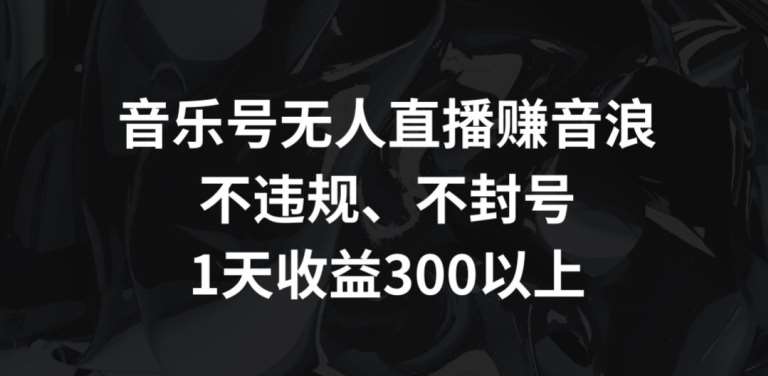 音乐号无人直播赚音浪，不违规、不封号，1天收益300+【揭秘】-云商网创