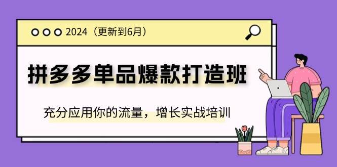 （11556期）2024拼多多-单品爆款打造班(更新6月)，充分应用你的流量，增长实战培训-云商网创