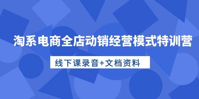 （10192期）淘系电商全店动销经营模式特训营，线下课录音+文档资料-云商网创