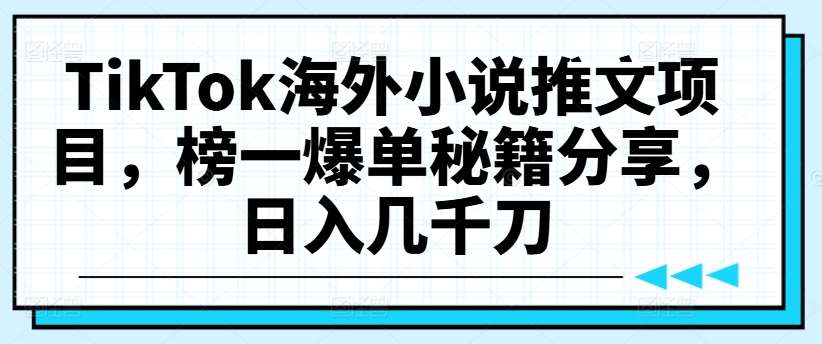 TikTok海外小说推文项目，榜一爆单秘籍分享，日入几千刀-云商网创