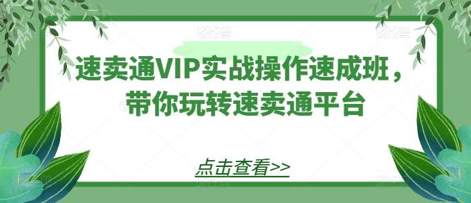 速卖通VIP实战操作速成班，带你玩转速卖通平台-云商网创