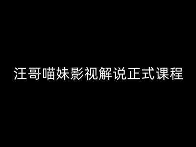 汪哥影视解说正式课程：剪映/PR教学/视解说剪辑5大黄金法则/全流程剪辑7把利器等等-云商网创