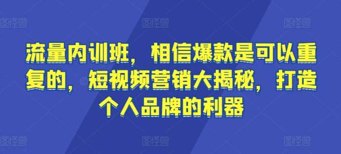 流量内训班，相信爆款是可以重复的，短视频营销大揭秘，打造个人品牌的利器-云商网创