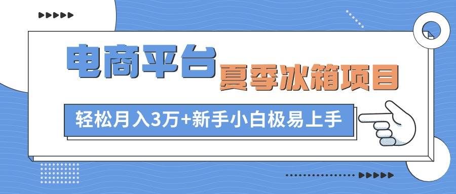 （10934期）电商平台夏季冰箱项目，轻松月入3万+，新手小白极易上手-云商网创