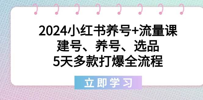 2024小红书养号+流量课：建号、养号、选品，5天多款打爆全流程-云商网创