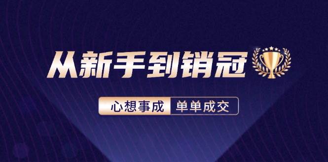 （12383期）从新手到销冠：精通客户心理学，揭秘销冠背后的成交秘籍-云商网创