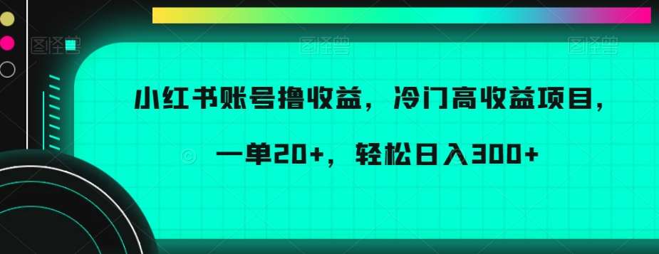 小红书账号撸收益，冷门高收益项目，一单20+，轻松日入300+【揭秘】-云商网创