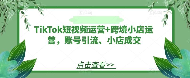 TikTok短视频运营+跨境小店运营，账号引流、小店成交-云商网创
