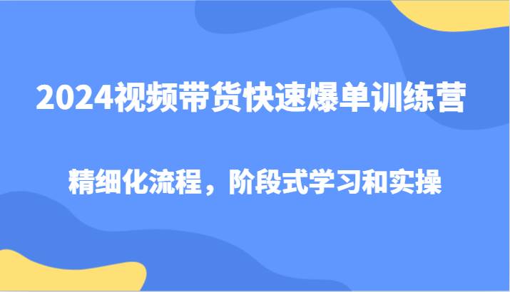 2024视频带货快速爆单训练营，精细化流程，阶段式学习和实操-云商网创