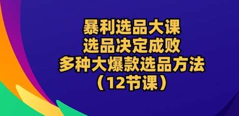 暴利选品大课：选品决定成败，教你多种大爆款选品方法(12节课)-云商网创