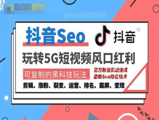 抖音SEO引流培训课程-抓住抖音风口，实现搜索排名，获取精准流量，快速成交变现-云商网创