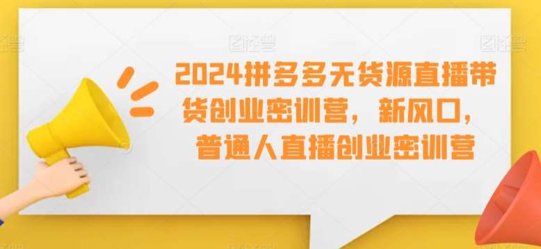 2024拼多多无货源直播带货创业密训营，新风口，普通人直播创业密训营-云商网创