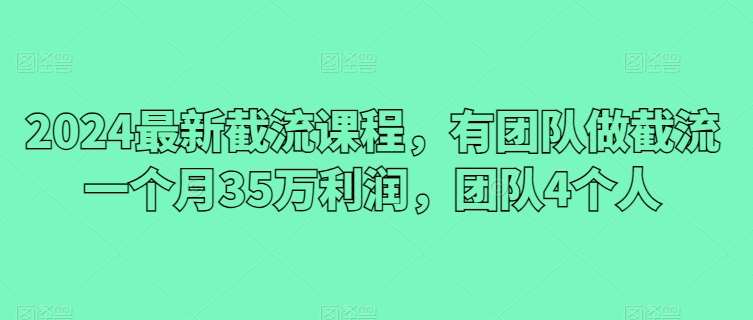 2024最新截流课程，有团队做截流一个月35万利润，团队4个人-云商网创