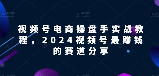 视频号电商实战教程，2024视频号最赚钱的赛道分享-云商网创