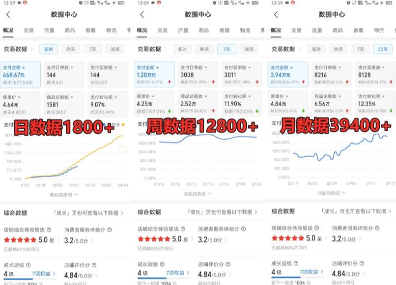 图片[2]-拼多多虚拟电商训练营月入30000+你也行，暴利稳定长久，副业首选-云商网创