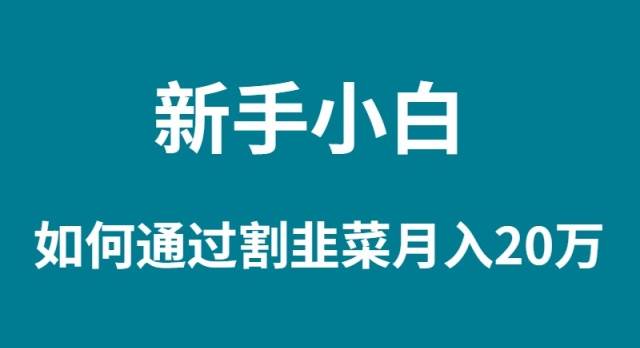 新手小白如何通过割韭菜月入 20W-云商网创